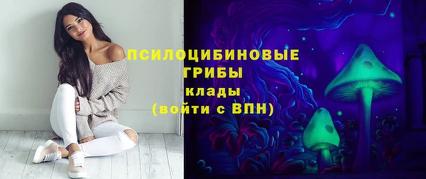 амф Алексеевка