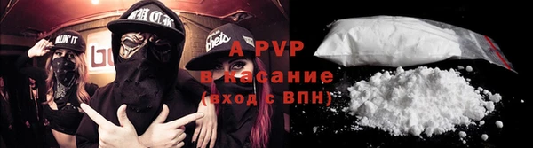 стаф Алзамай