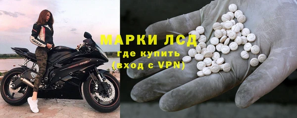 стаф Алзамай