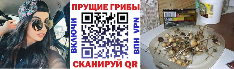 Галлюциногенные грибы Cubensis  Солнечногорск 