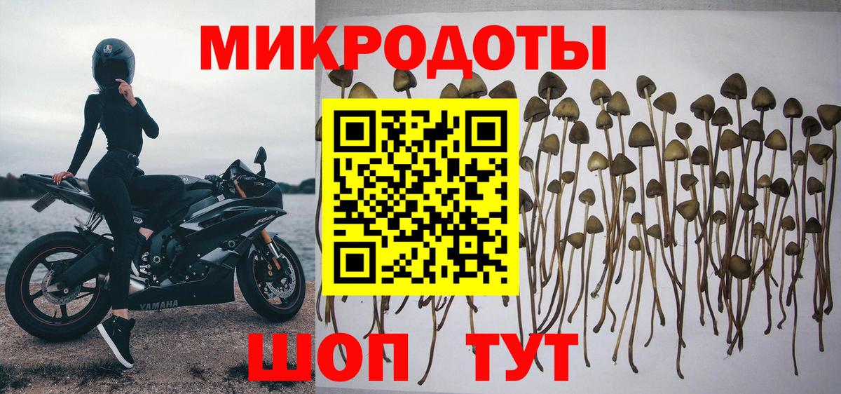 Псилоцибиновые грибы мухоморы Солнечногорск